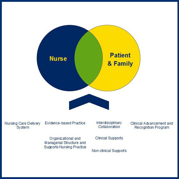 Nurse professional practice model